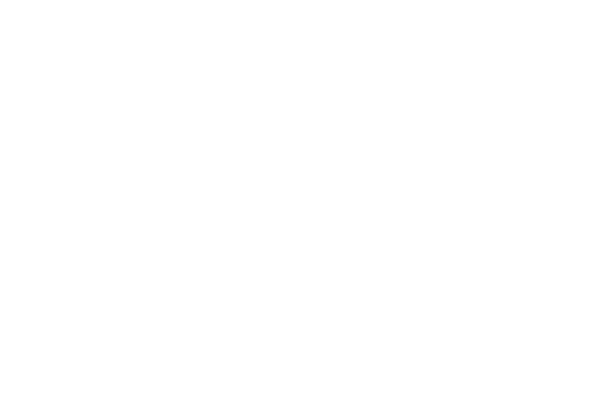 Omniplex Limerick