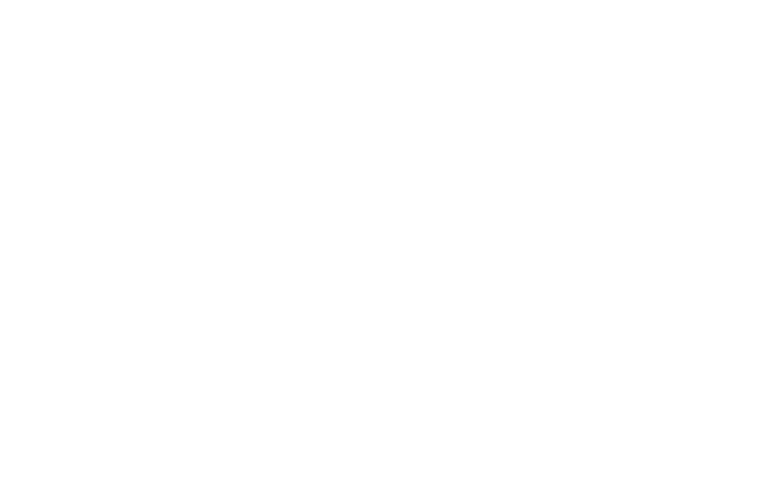 Zara-Logo