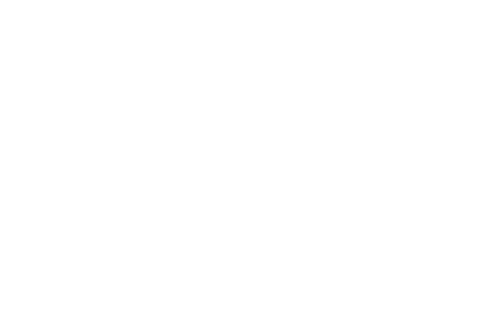 Zumo
